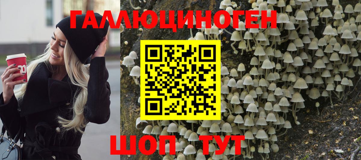 Тамбов  Псилоцибиновые грибы Psilocybine cubensis  Вход с VPN  купить наркоту  Галлюциногенные грибы Magic Shrooms 