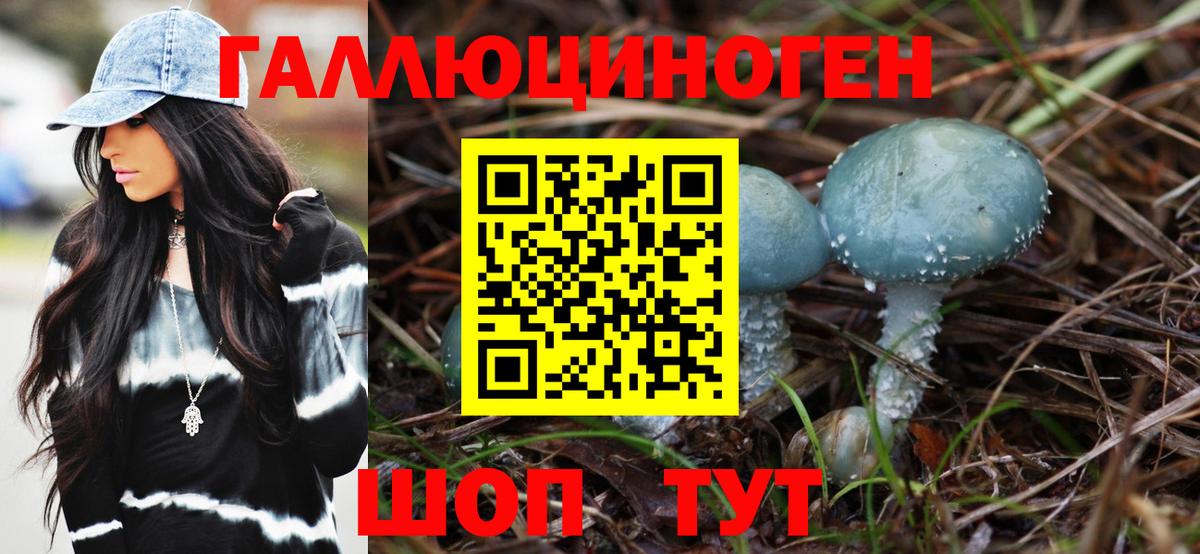 Псилоцибиновые грибы MAGIC MUSHROOMS Тамбов